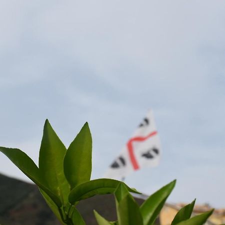 Sa Mariposa Bed and Breakfast Muravera Εξωτερικό φωτογραφία