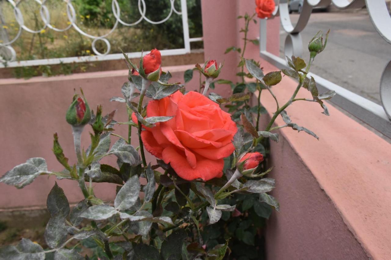 Sa Mariposa Bed and Breakfast Muravera Εξωτερικό φωτογραφία