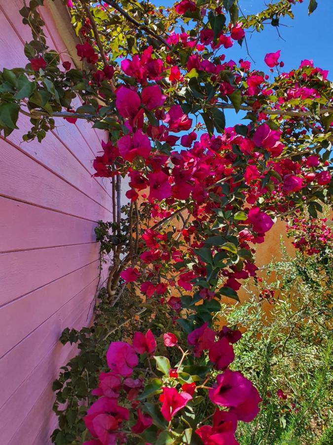 Sa Mariposa Bed and Breakfast Muravera Εξωτερικό φωτογραφία